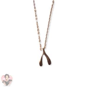 18KRGP Wishbone Charm Necklace